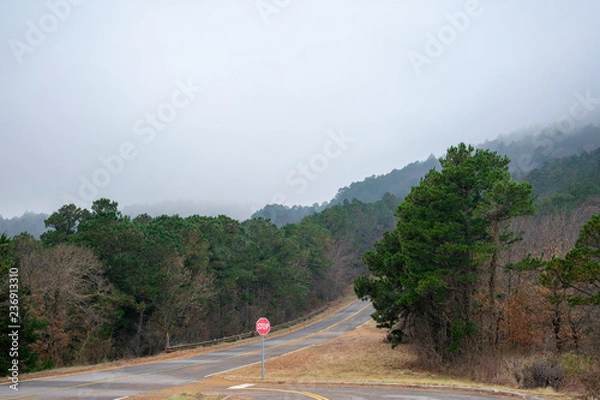 Obraz talimena drive