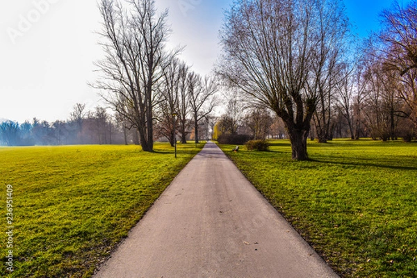 Obraz road in autumn