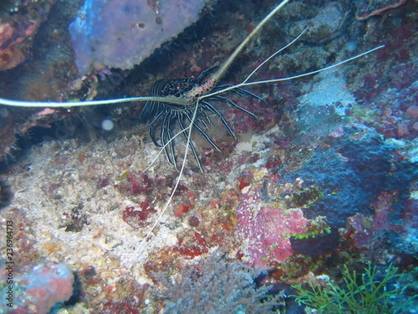 Obraz Underwater Submarine Subsea