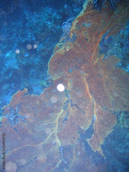 Obraz Underwater Submarine Subsea