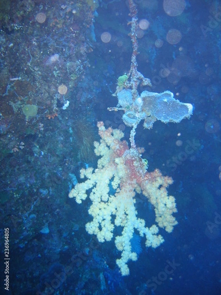 Obraz Underwater Submarine Subsea