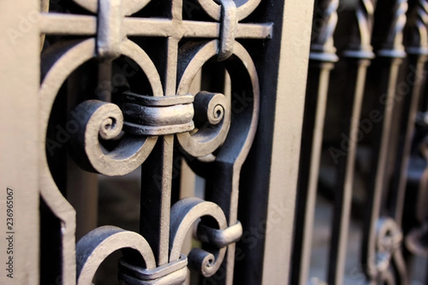 Fototapeta Old iron gate