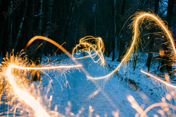 Obraz Sparkler in forest