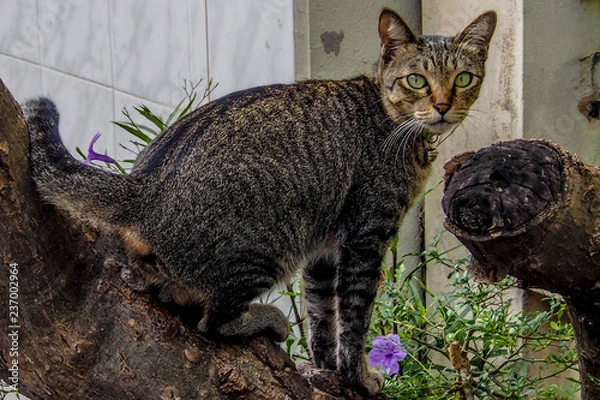 Obraz OLYMPUS DIGITAL CAMERA