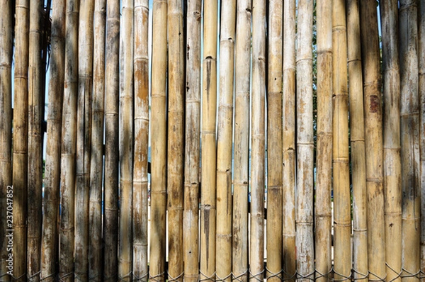 Fototapeta A fence made of natural bamboo in a beach of Phuket.