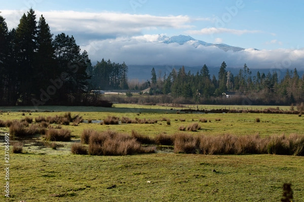 Fototapeta landscape with mountains