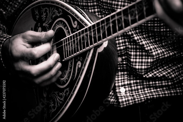 Obraz bouzouki closeup