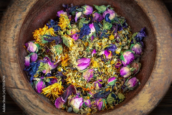 Fototapeta Tea plants