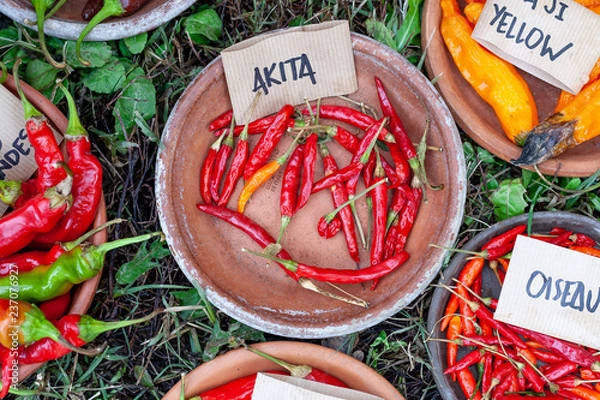 Fototapeta Peppers