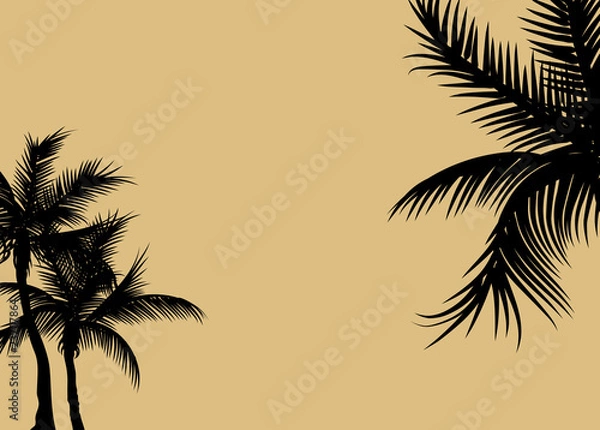 Fototapeta palm tree