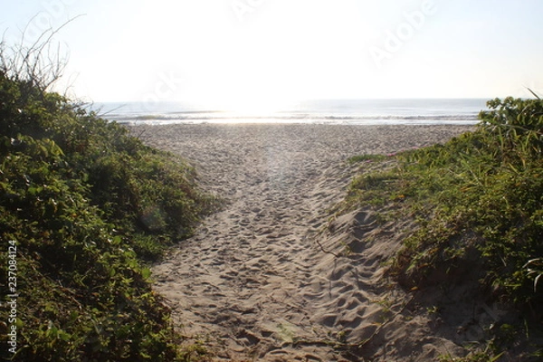 Obraz Beach landscape