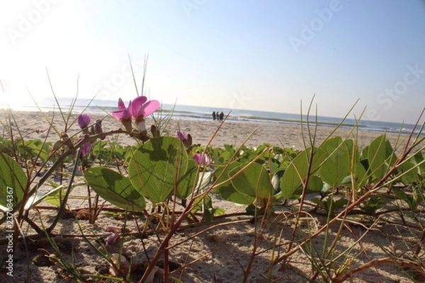 Obraz Beach landscape