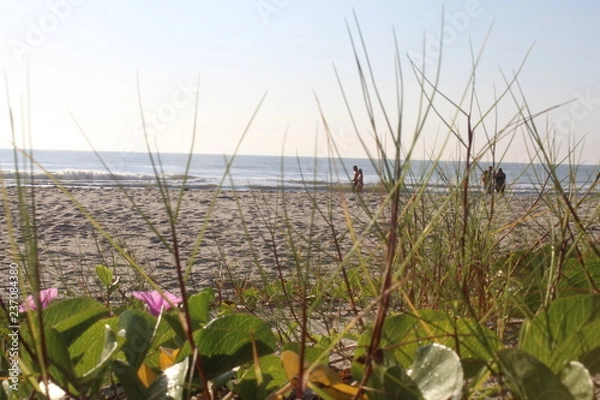 Obraz Beach landscape