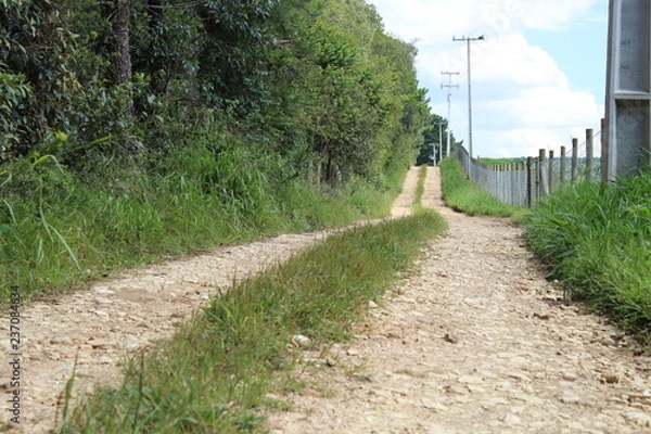 Obraz road in the forest
