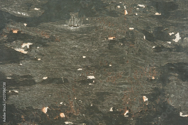 Obraz Old Wood Texture for Background