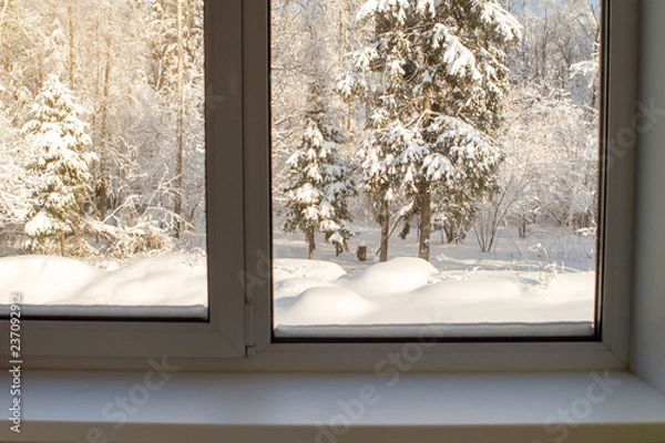 Obraz snowy forest viewed through the window