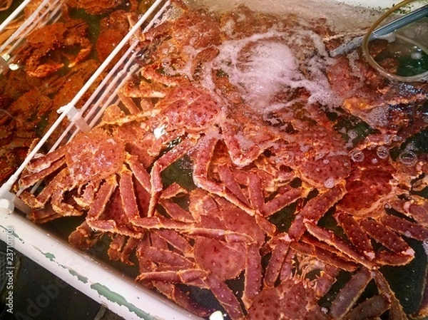 Obraz タラバガニ