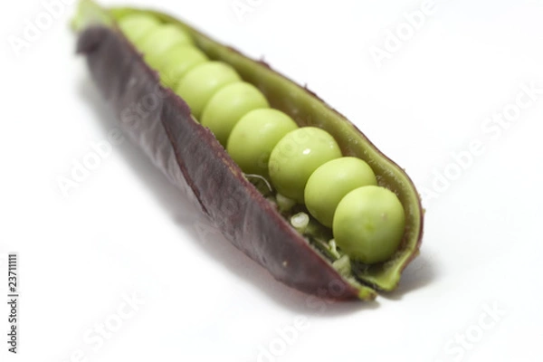 Obraz gousse de petits pois violette