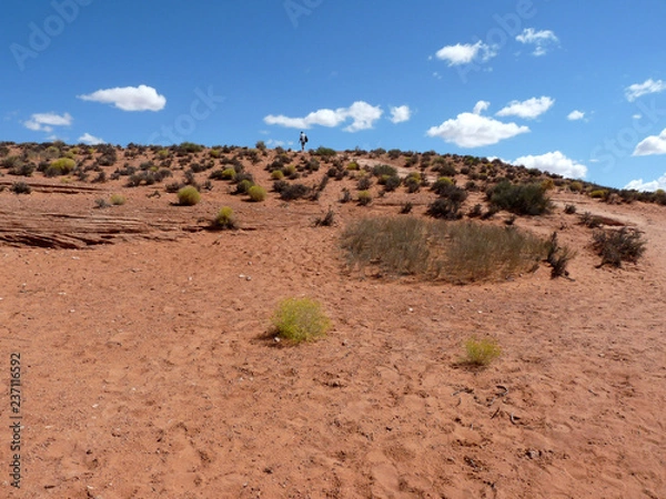 Obraz アメリカ、ホースシューベンドの丘とハイカー