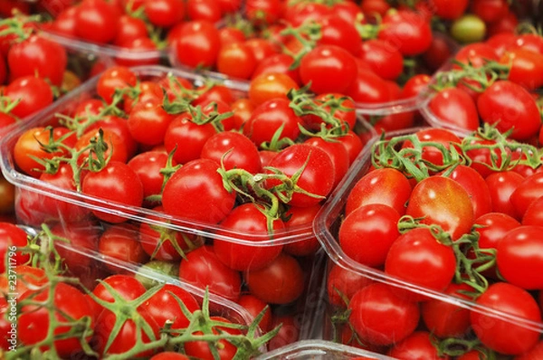 Fototapeta cherry tomatoes