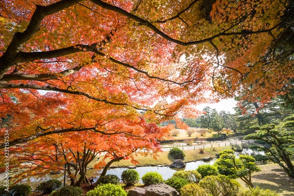 Obraz 紅葉　栗林公園(香川県高松市)　2018年11月撮影
