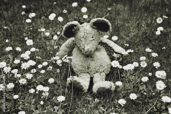 Fototapeta Black and White