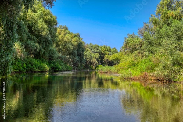 Fototapeta Danube canal with green trees and vegetation 
