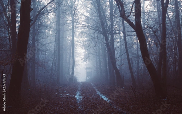 Obraz Foggy winter landscape with path and hunter's lookout in the scary forest. Illak forest, Pannonhalma in Hungary. Morning fog in the deep dark Hungarian Forest.