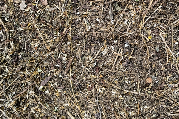 Obraz Terra Pinheiros