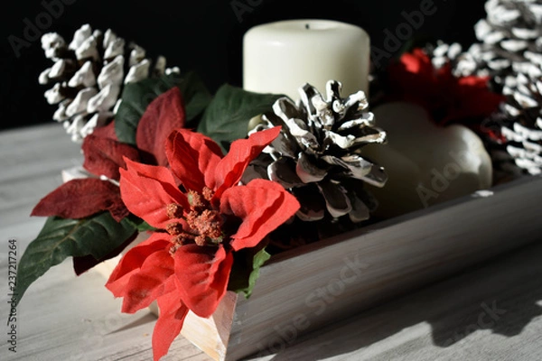 Obraz Flor de pascua 