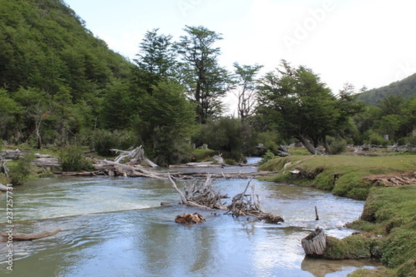 Obraz Landscape  National  Forest