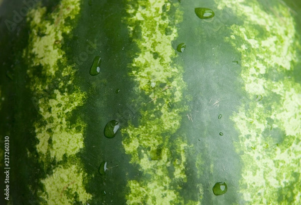 Obraz watermelon