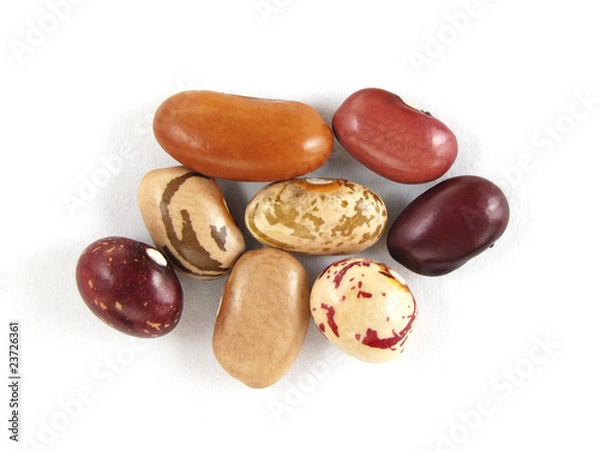 Obraz Dry beans on white paper