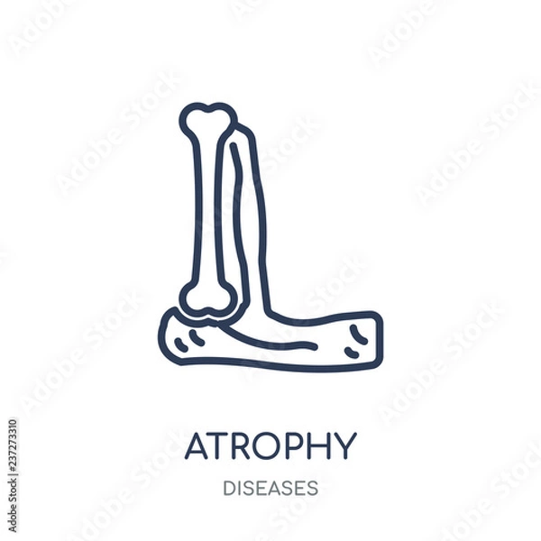 Obraz Atrophy icon. Atrophy linear symbol design from Diseases collection.