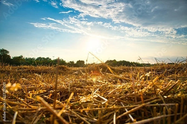 Obraz Goldene Zeiten