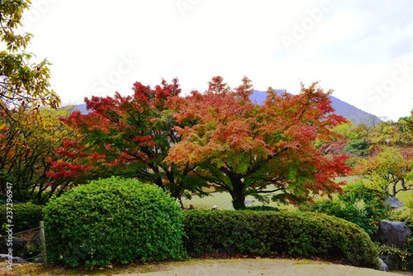 Fototapeta 南立石の紅葉