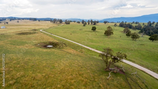 Obraz country road in paddocks