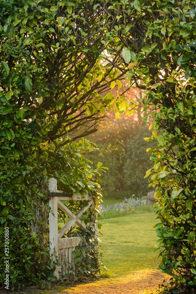 Fototapeta Garden Gate and Path