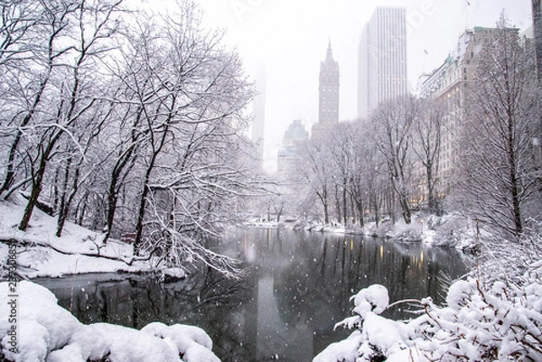 Fototapeta A snowy day in New York 