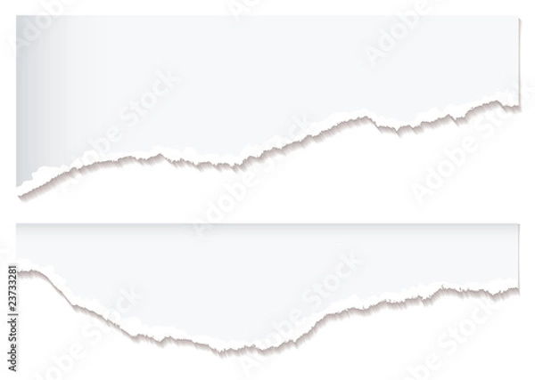 Obraz White paper rip edge