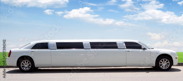 Obraz bride and groom