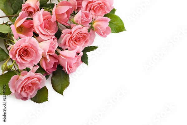 Obraz Petite Pink Roses