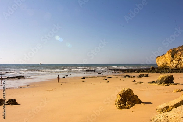 Obraz beach at sunset