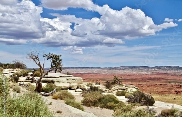 Fototapeta white rocks cliff