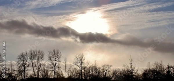 Fototapeta Winter Sky