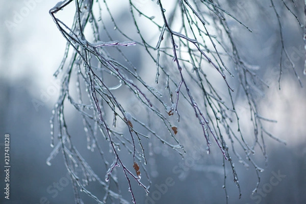 Obraz cold winter day