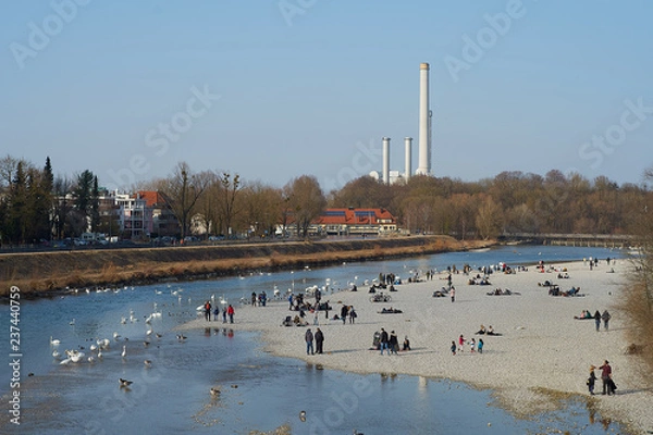 Fototapeta View on Isar river in springtime - Flaucher Auen
