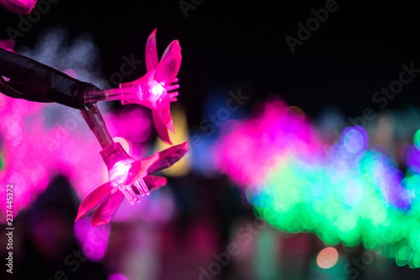 Obraz flower christmas light