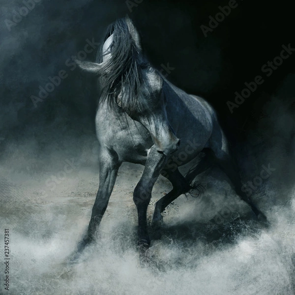 Fototapeta Arabian Horse in Dynamics, Koń Arabski