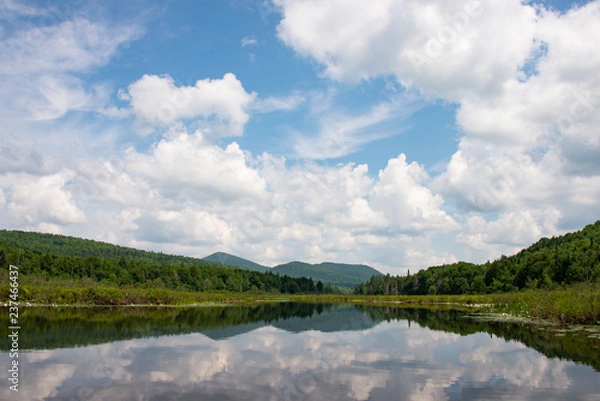 Fototapeta Kunjamuk River below Elm Lake in the Adirondack Mountains